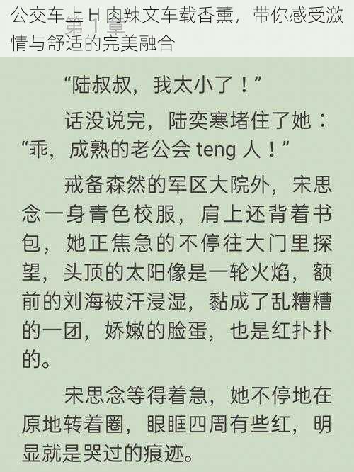 公交车上 H 肉辣文车载香薰，带你感受激情与舒适的完美融合