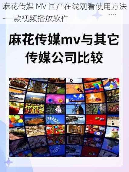 麻花传媒 MV 国产在线观看使用方法-一款视频播放软件