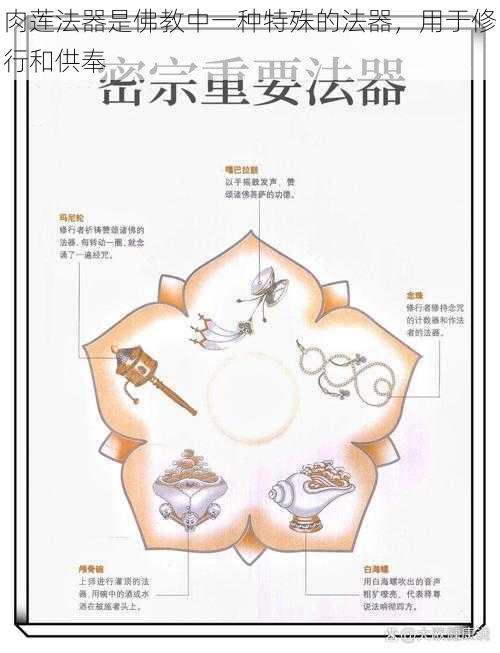 肉莲法器是佛教中一种特殊的法器，用于修行和供奉