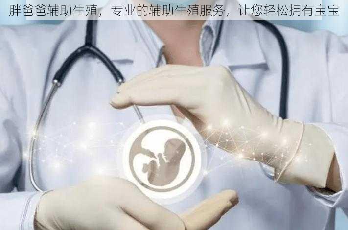 胖爸爸辅助生殖，专业的辅助生殖服务，让您轻松拥有宝宝