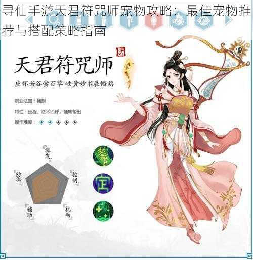 寻仙手游天君符咒师宠物攻略：最佳宠物推荐与搭配策略指南