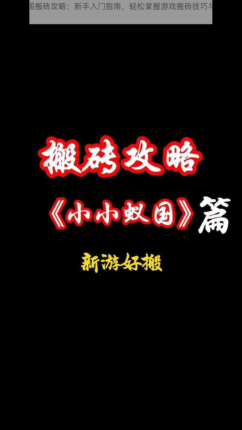 小小蚁国搬砖攻略：新手入门指南，轻松掌握游戏搬砖技巧与资源获取秘籍