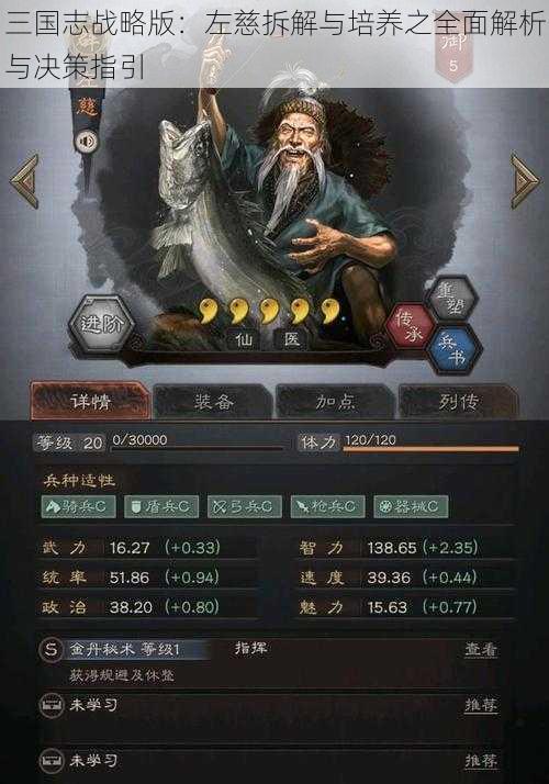 三国志战略版：左慈拆解与培养之全面解析与决策指引