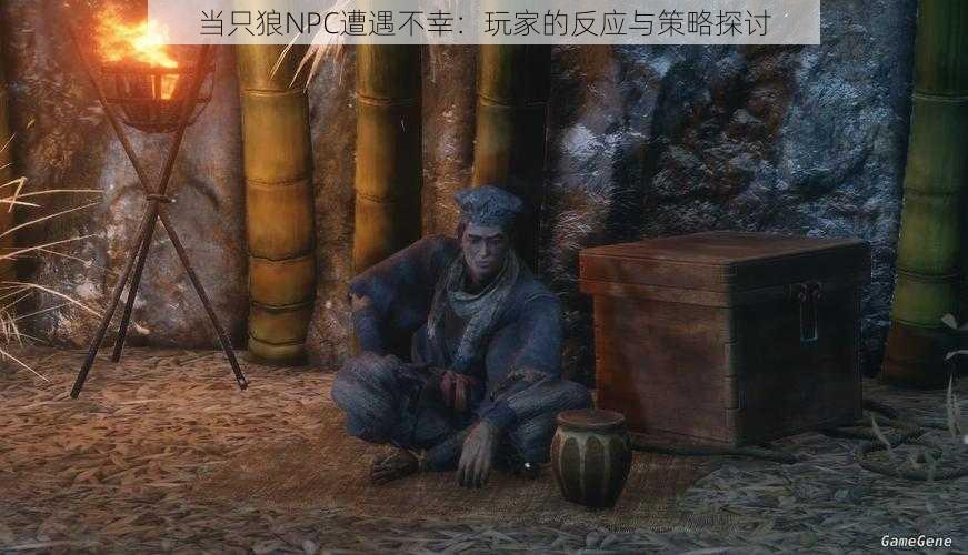 当只狼NPC遭遇不幸：玩家的反应与策略探讨