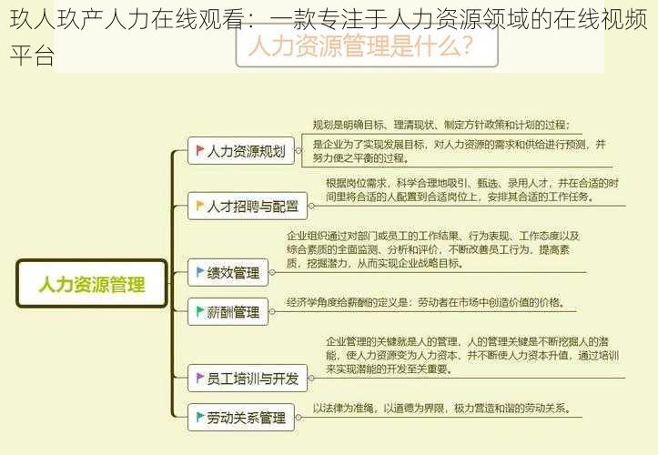 玖人玖产人力在线观看：一款专注于人力资源领域的在线视频平台