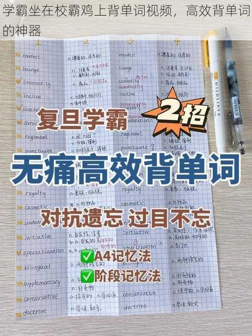 学霸坐在校霸鸡上背单词视频，高效背单词的神器