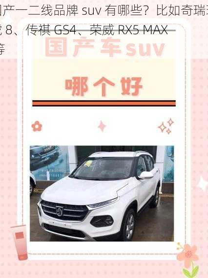 国产一二线品牌 suv 有哪些？比如奇瑞瑞虎 8、传祺 GS4、荣威 RX5 MAX 等