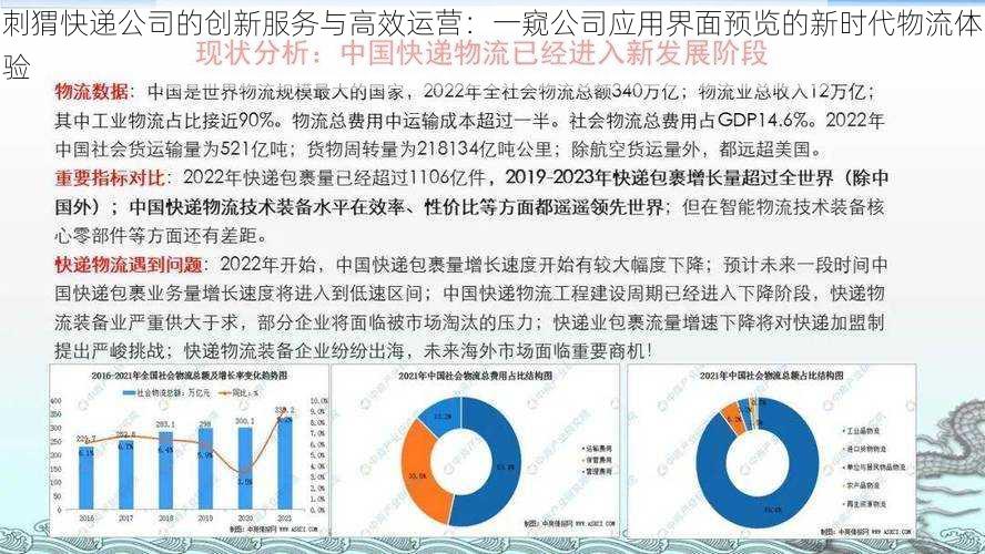 刺猬快递公司的创新服务与高效运营：一窥公司应用界面预览的新时代物流体验