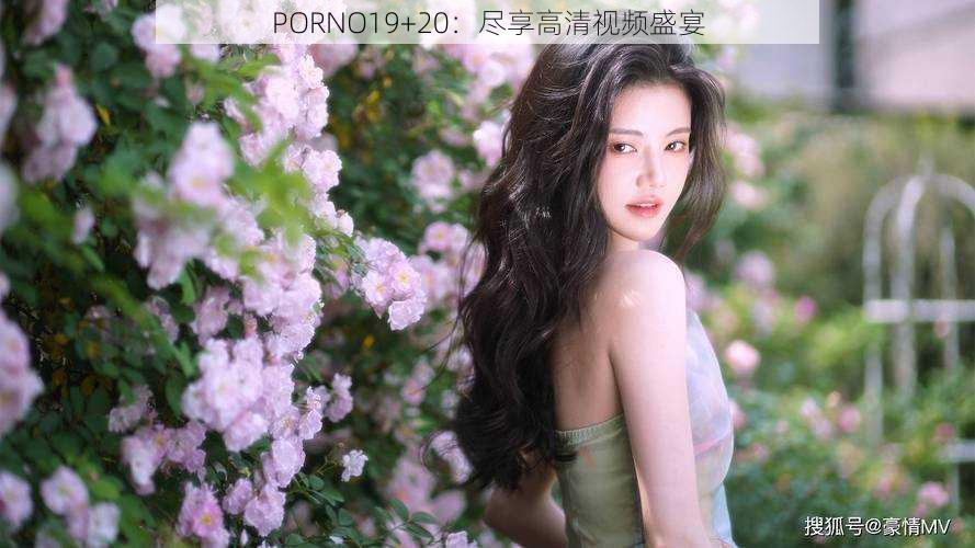 PORNO19+20：尽享高清视频盛宴