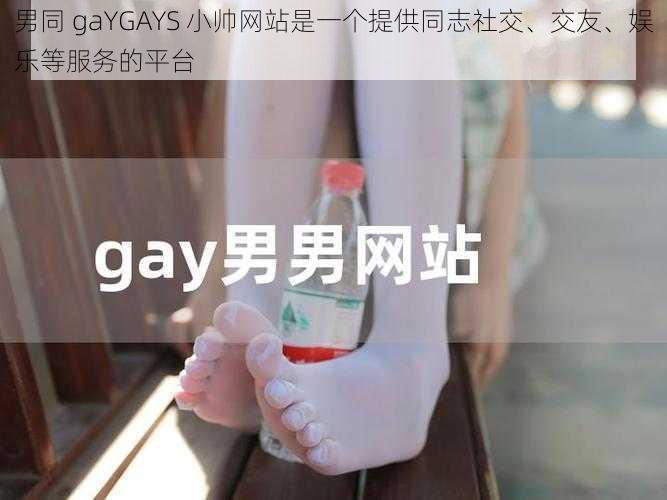 男同 gaYGAYS 小帅网站是一个提供同志社交、交友、娱乐等服务的平台