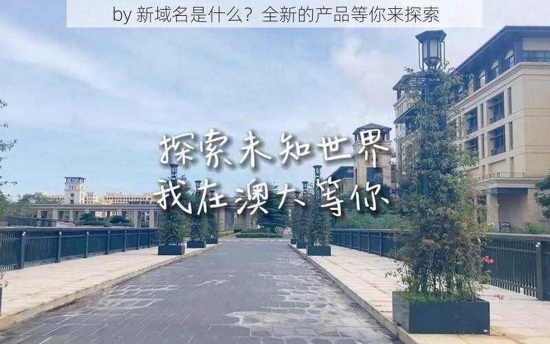 by 新域名是什么？全新的产品等你来探索