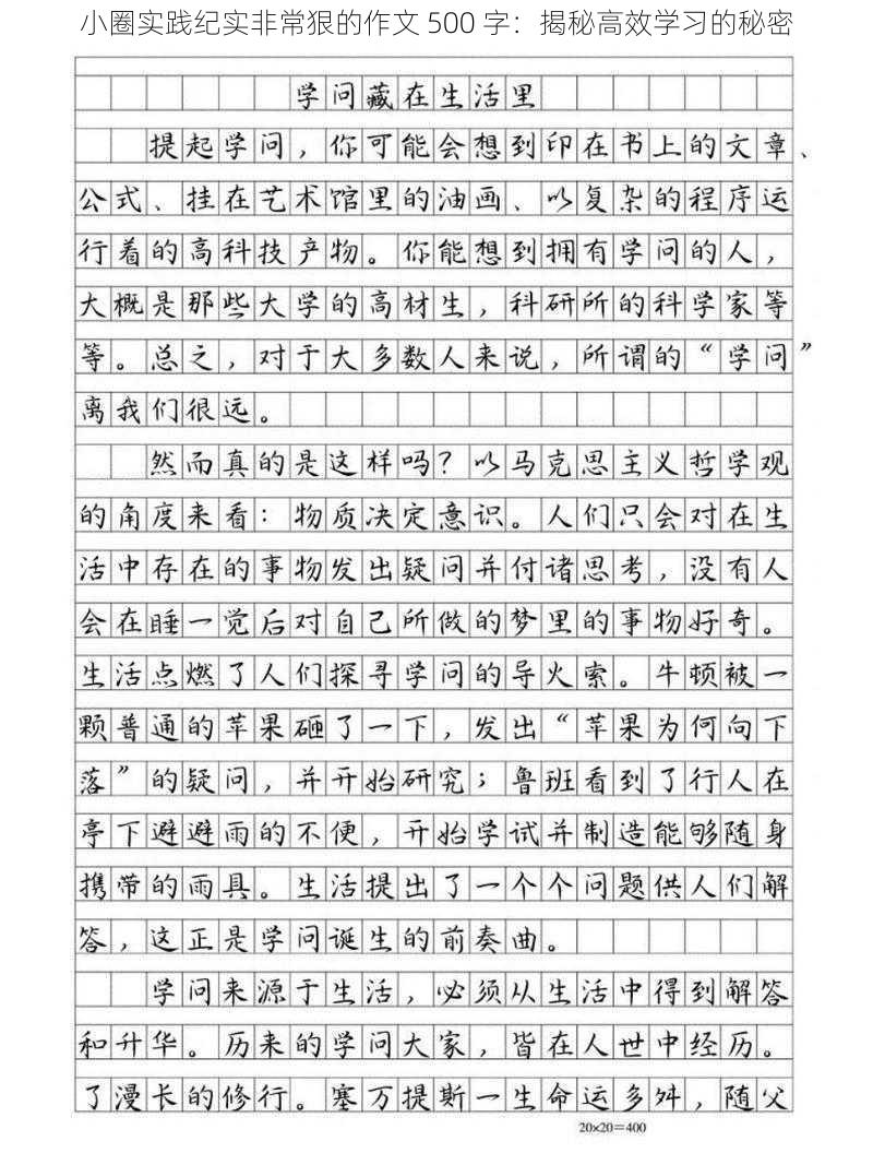 小圈实践纪实非常狠的作文 500 字：揭秘高效学习的秘密