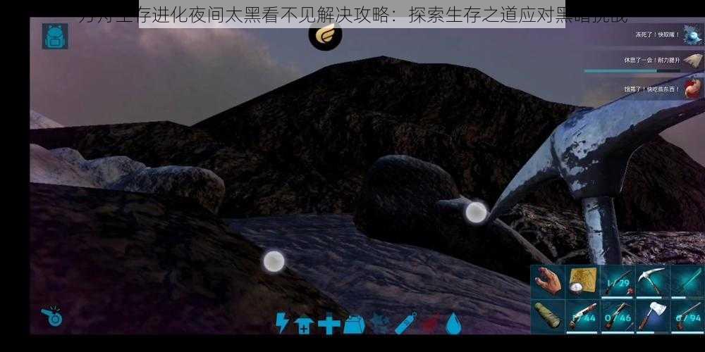 方舟生存进化夜间太黑看不见解决攻略：探索生存之道应对黑暗挑战