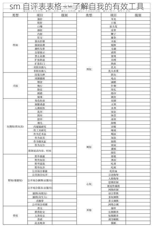 sm 自评表表格——了解自我的有效工具