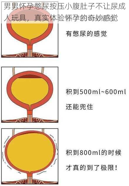 男男怀孕憋尿按压小腹肚子不让尿成人玩具，真实体验怀孕的奇妙感觉