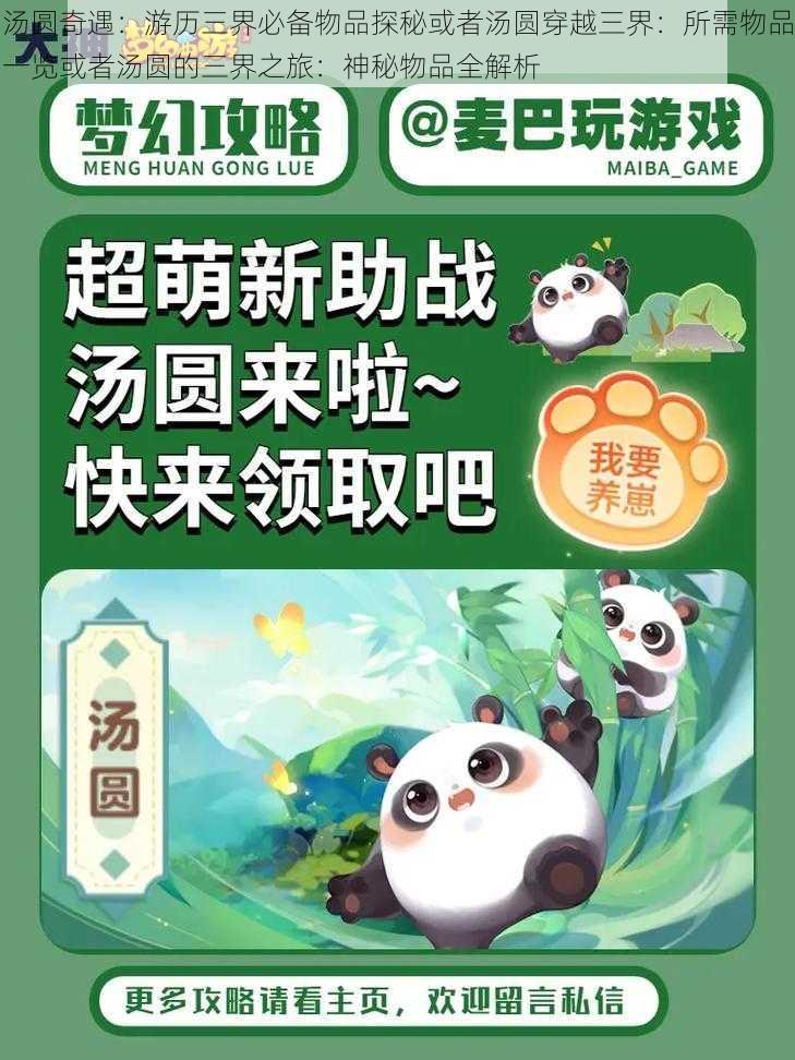 汤圆奇遇：游历三界必备物品探秘或者汤圆穿越三界：所需物品一览或者汤圆的三界之旅：神秘物品全解析