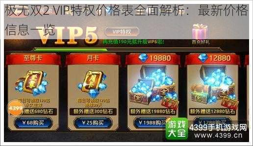 极无双2 VIP特权价格表全面解析：最新价格信息一览