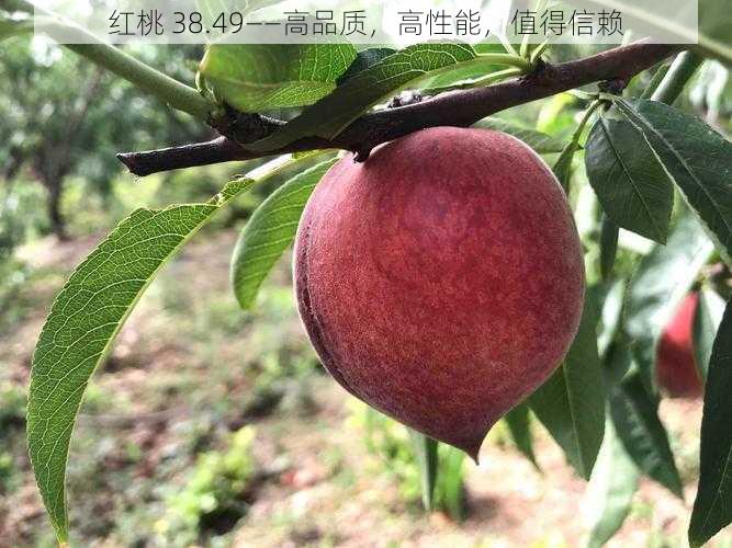 红桃 38.49——高品质，高性能，值得信赖