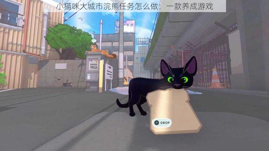 小猫咪大城市浣熊任务怎么做：一款养成游戏