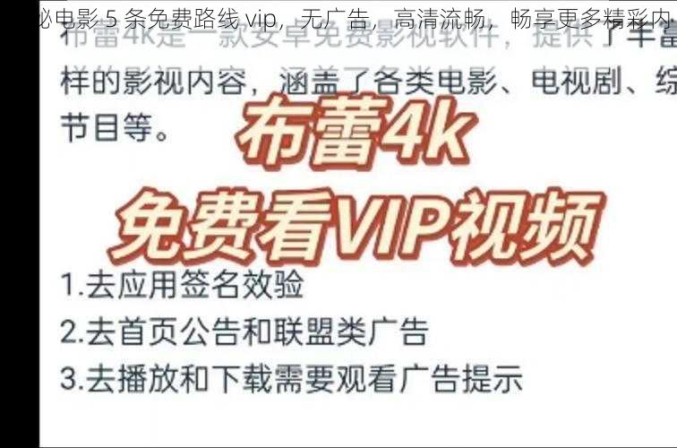 神秘电影 5 条免费路线 vip，无广告，高清流畅，畅享更多精彩内容