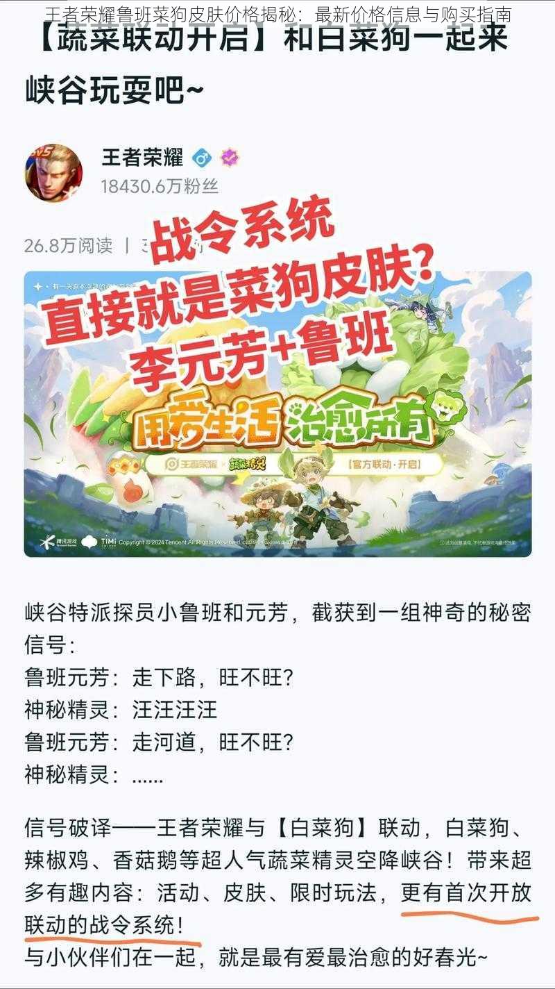 王者荣耀鲁班菜狗皮肤价格揭秘：最新价格信息与购买指南