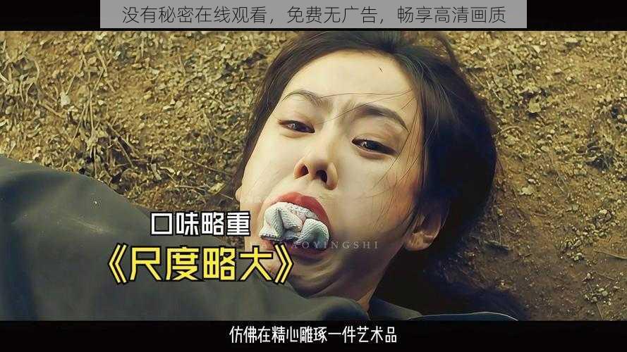 没有秘密在线观看，免费无广告，畅享高清画质