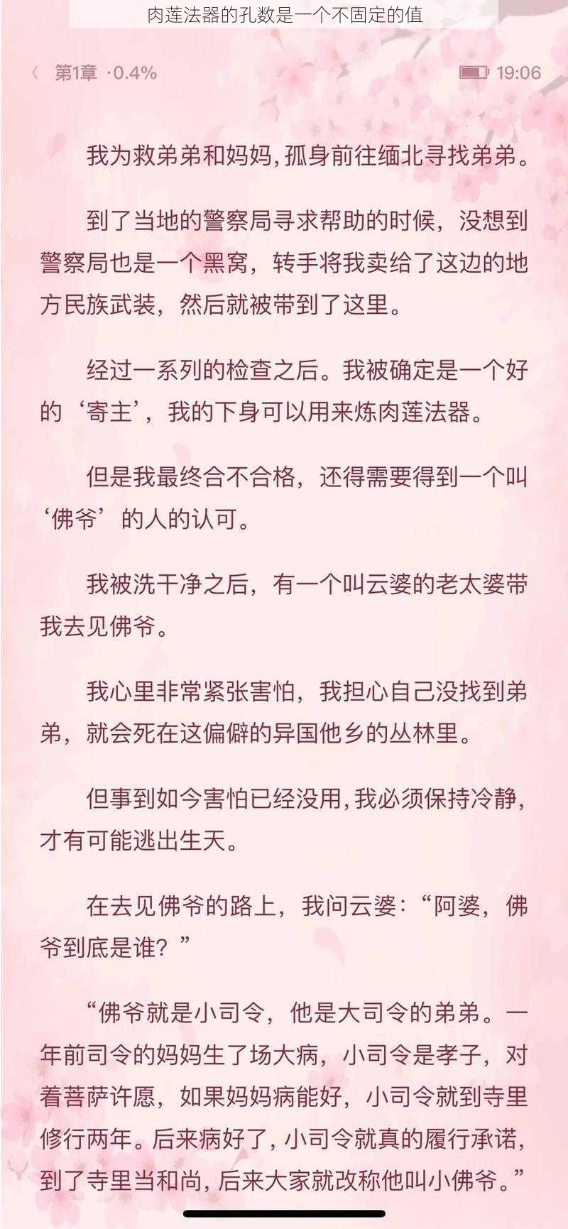 肉莲法器的孔数是一个不固定的值