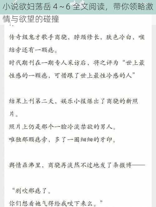 小说欲妇荡岳 4～6 全文阅读，带你领略激情与欲望的碰撞