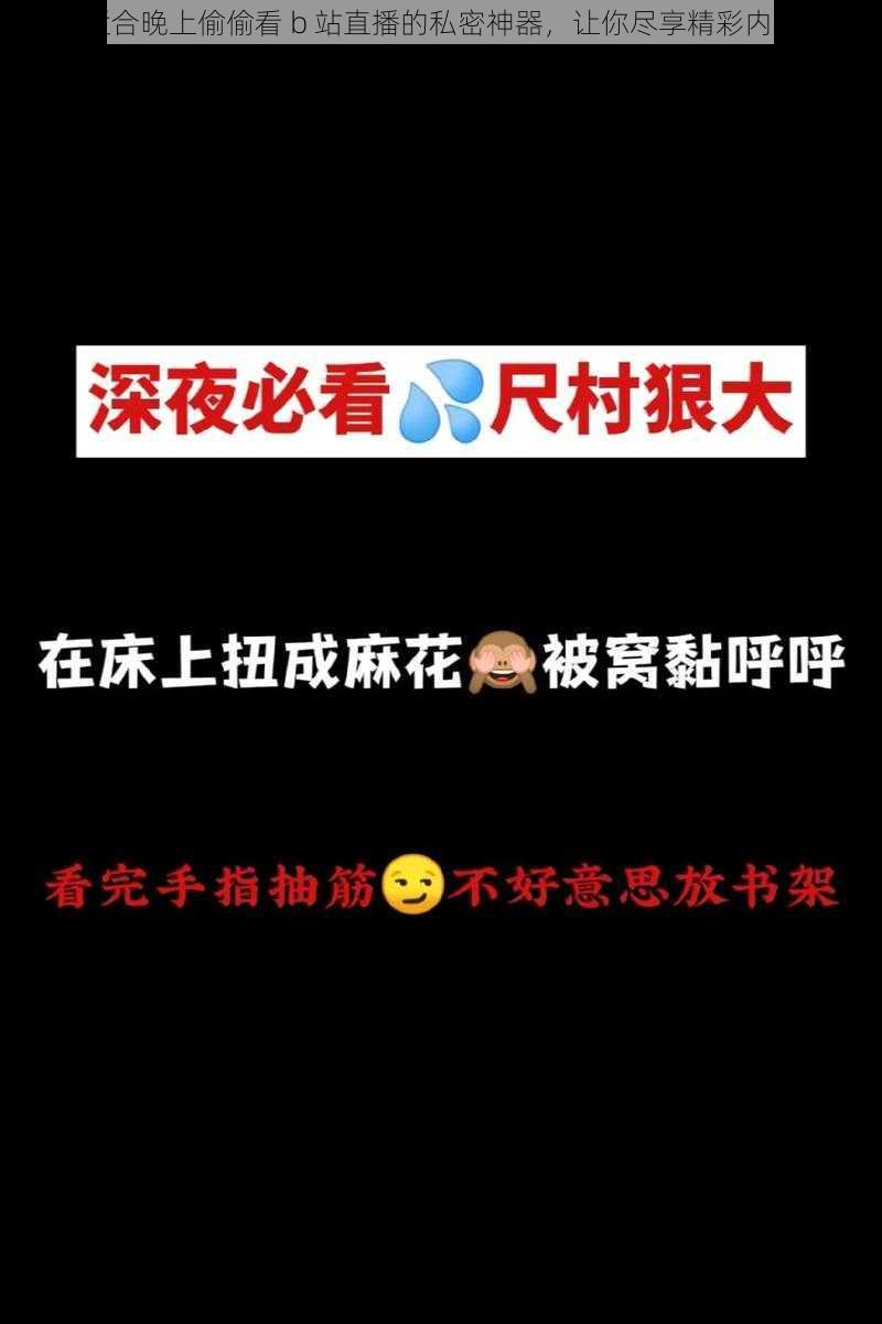 适合晚上偷偷看 b 站直播的私密神器，让你尽享精彩内容