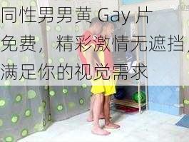 同性男男黄 Gay 片免费，精彩激情无遮挡，满足你的视觉需求