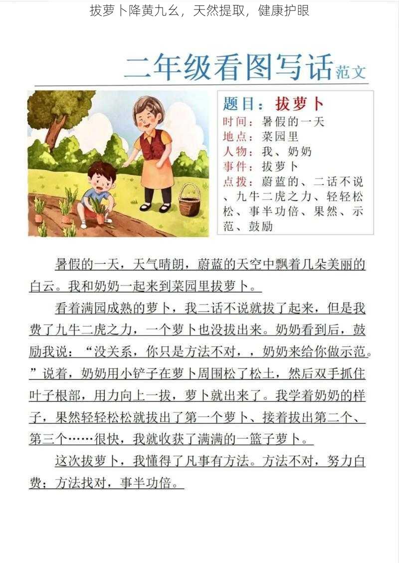 拔萝卜降黄九幺，天然提取，健康护眼