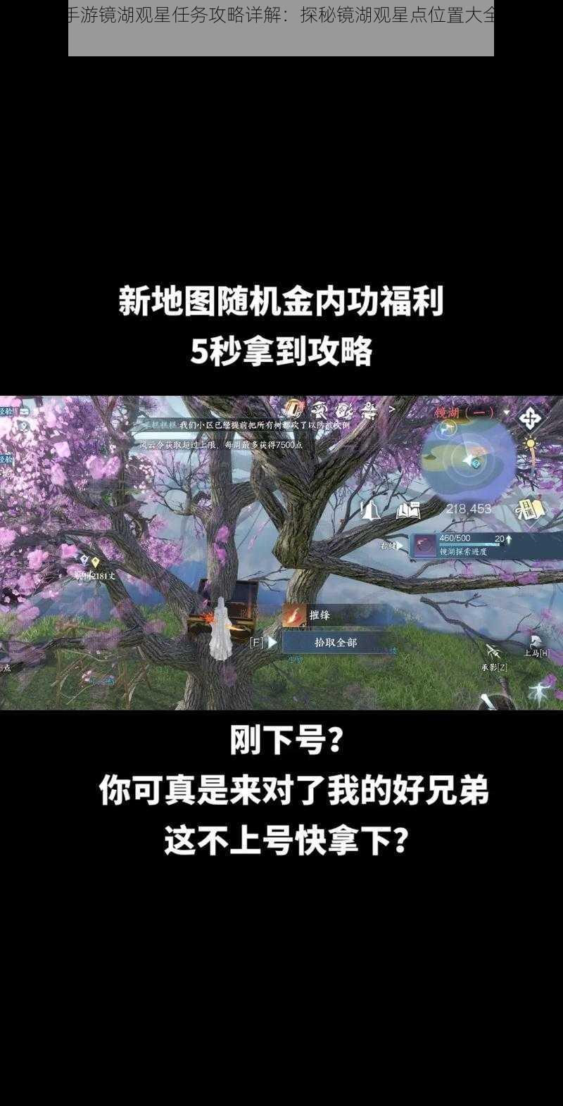 逆水寒手游镜湖观星任务攻略详解：探秘镜湖观星点位置大全及攻略指引