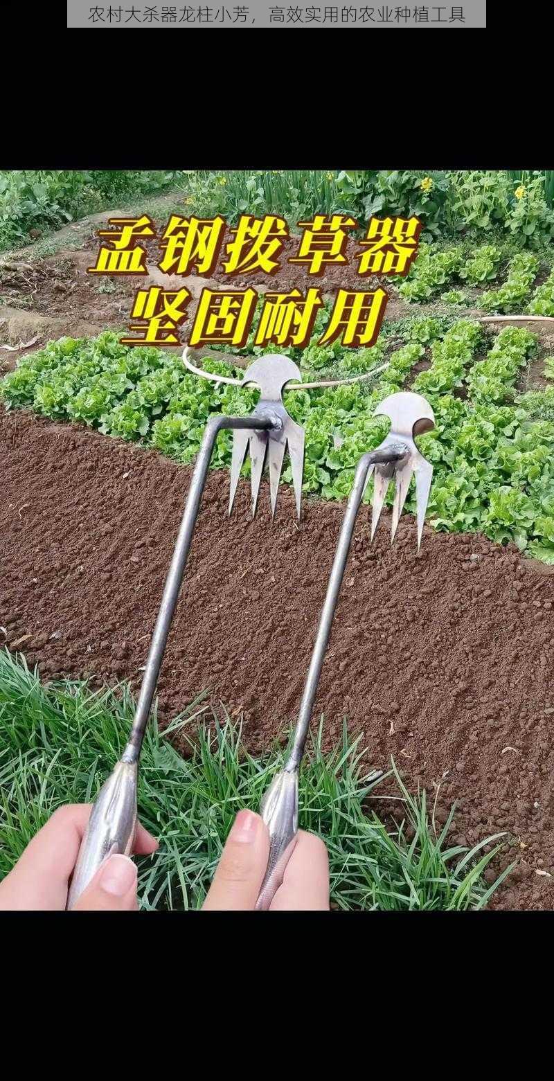 农村大杀器龙柱小芳，高效实用的农业种植工具