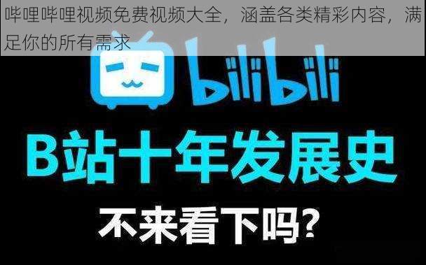 哔哩哔哩视频免费视频大全，涵盖各类精彩内容，满足你的所有需求