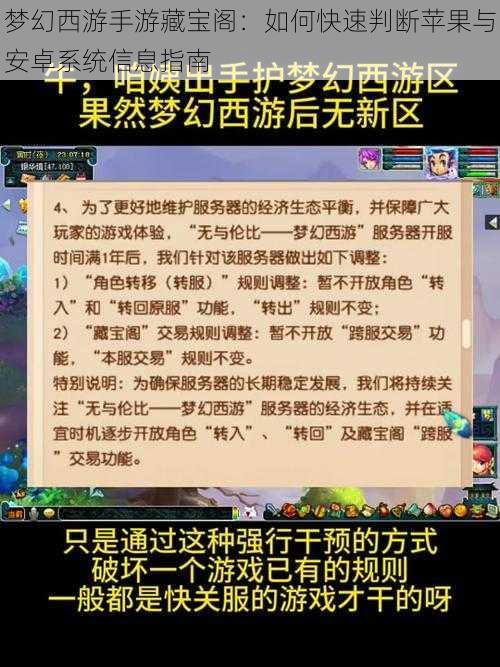 梦幻西游手游藏宝阁：如何快速判断苹果与安卓系统信息指南