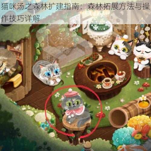 猫咪汤之森林扩建指南：森林拓展方法与操作技巧详解