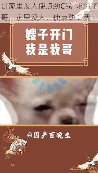 哥家里没人使点劲C我_求你了哥，家里没人，使点劲 C 我