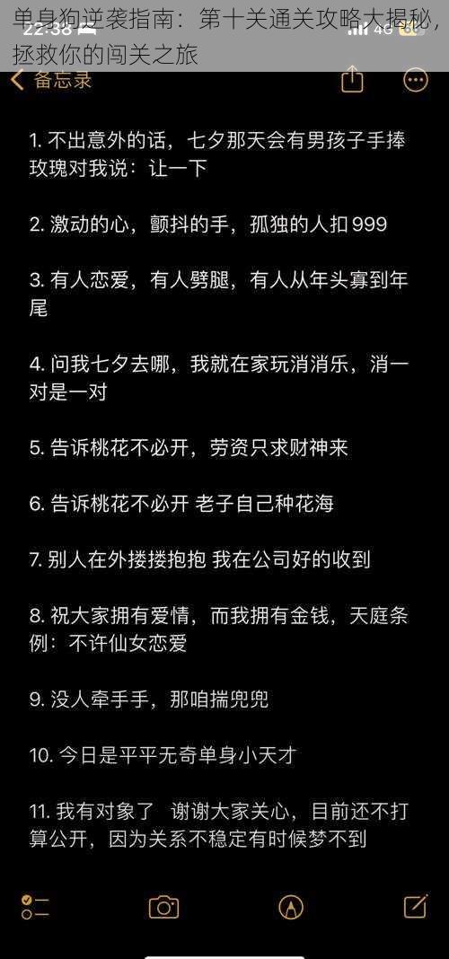 单身狗逆袭指南：第十关通关攻略大揭秘，拯救你的闯关之旅