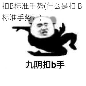 扣B标准手势(什么是扣 B 标准手势？)