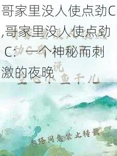 哥家里没人使点劲C,哥家里没人使点劲 C：一个神秘而刺激的夜晚