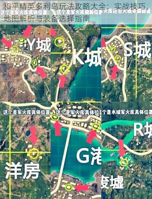 和平精英多利鸟玩法攻略大全：实战技巧、地图解析与装备选择指南