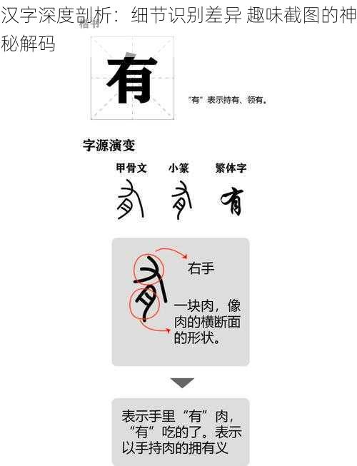 汉字深度剖析：细节识别差异 趣味截图的神秘解码