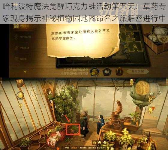 哈利波特魔法觉醒巧克力蛙活动第五天：草药专家现身揭示神秘植物园地图命名之旅解密进行中