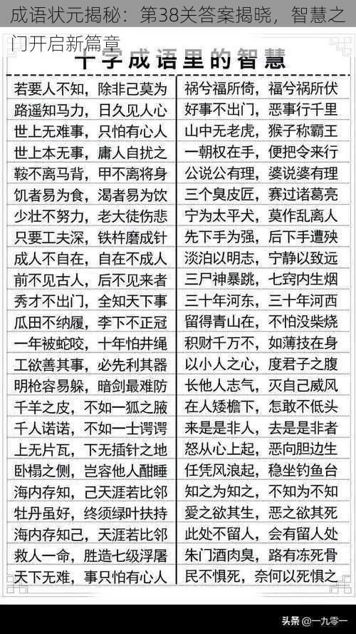 成语状元揭秘：第38关答案揭晓，智慧之门开启新篇章