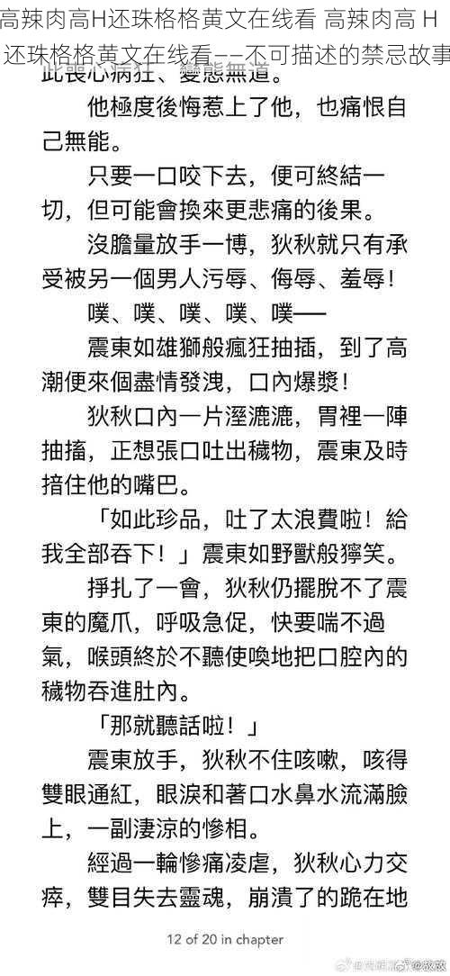 高辣肉高H还珠格格黄文在线看 高辣肉高 H 还珠格格黄文在线看——不可描述的禁忌故事