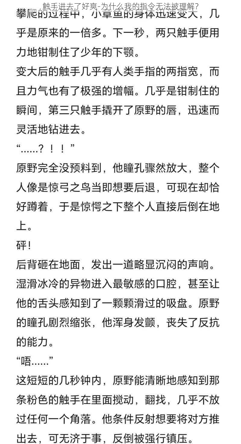 触手进去了好爽-为什么我的指令无法被理解？