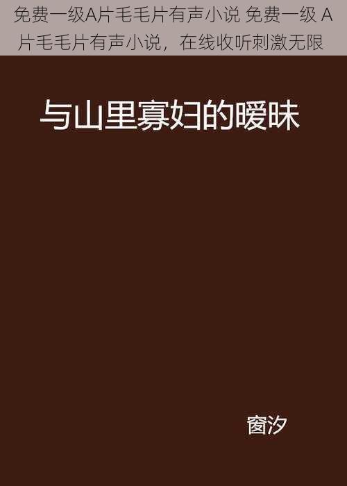 免费一级A片毛毛片有声小说 免费一级 A 片毛毛片有声小说，在线收听刺激无限