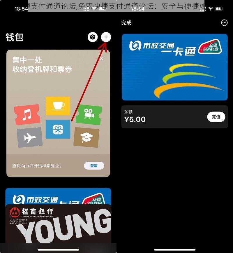 免密快捷支付通道论坛,免密快捷支付通道论坛：安全与便捷如何兼得？