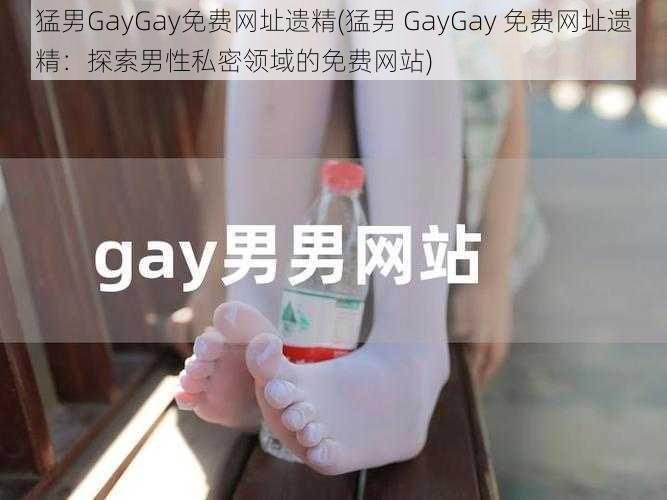 猛男GayGay免费网址遗精(猛男 GayGay 免费网址遗精：探索男性私密领域的免费网站)