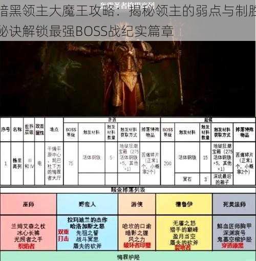 暗黑领主大魔王攻略：揭秘领主的弱点与制胜秘诀解锁最强BOSS战纪实篇章